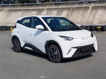 BYD שחף