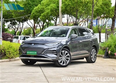BYD Denza N8