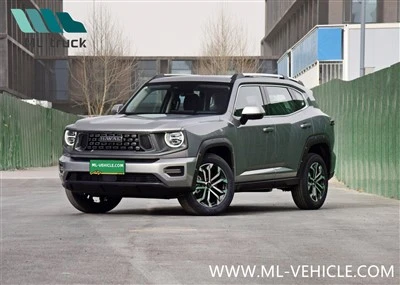 HAVAL DARGOⅡ