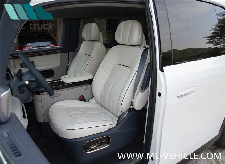 2025 Zeekr MIX EV MPV